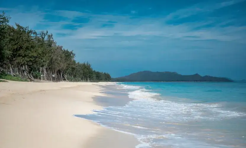Powder-sand windward Oahu beach backed by ironwood trees and clear blue ocean near Bellows