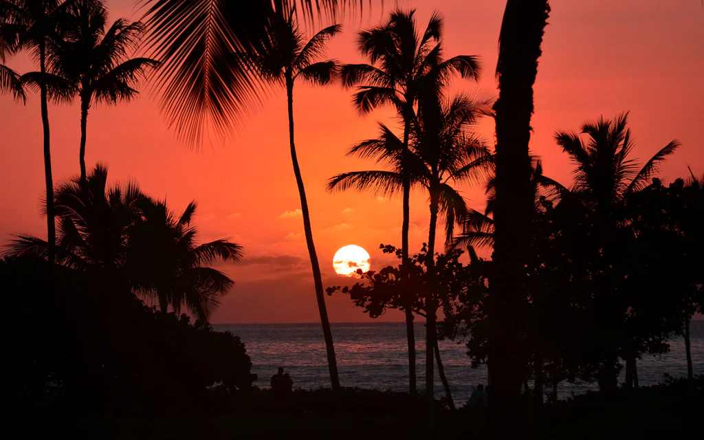 Fiery orange Hawaii sunset with palm tree silhouettes over the ocean