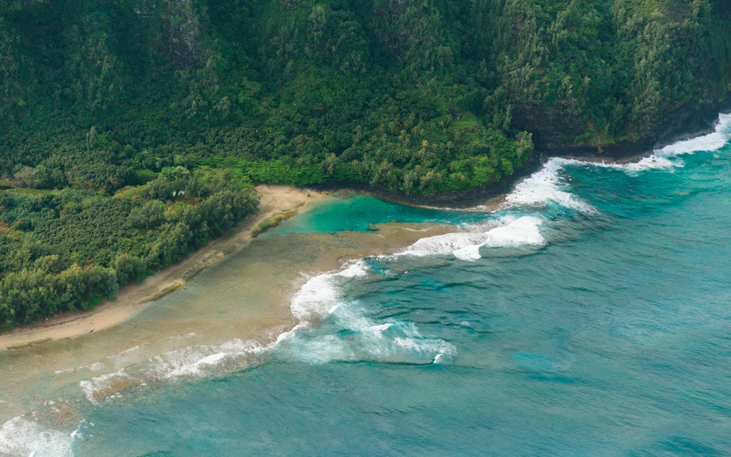 Aerial view of a tropical Oahu beach with bright blue water and palm trees