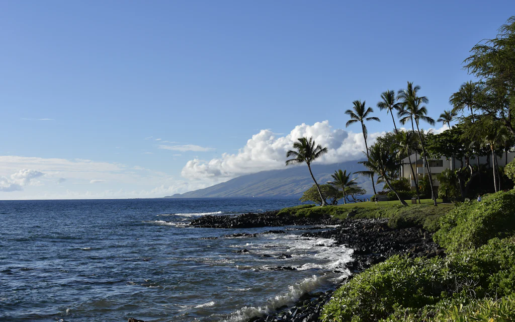 The Wailea shoreline, palms and a white resort above the lava rock coast, West Maui Mountains across the channel