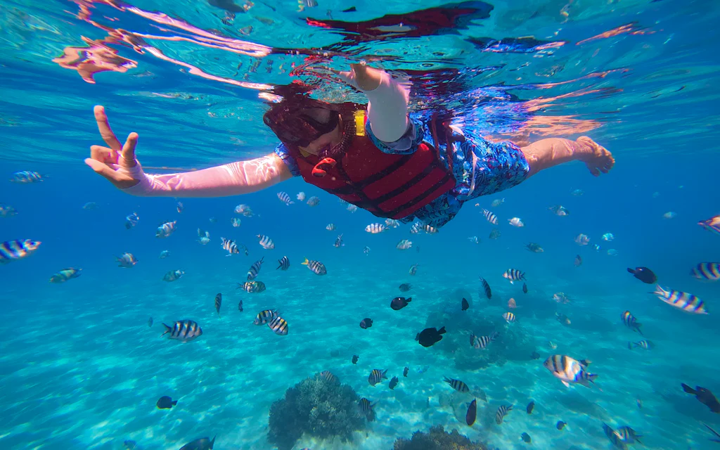 A Picasso reef triggerfish, close cousin of the Hawaii state fish, swimming over coral