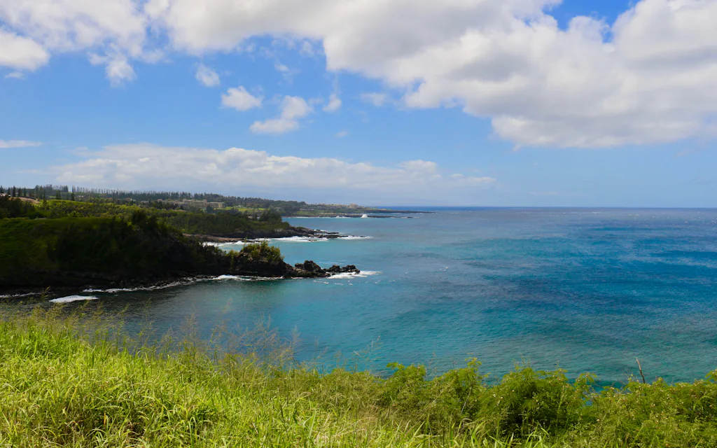 The green cliffs and turquoise water of Honolua Bay Maui seen from the overlook above the marine reserve