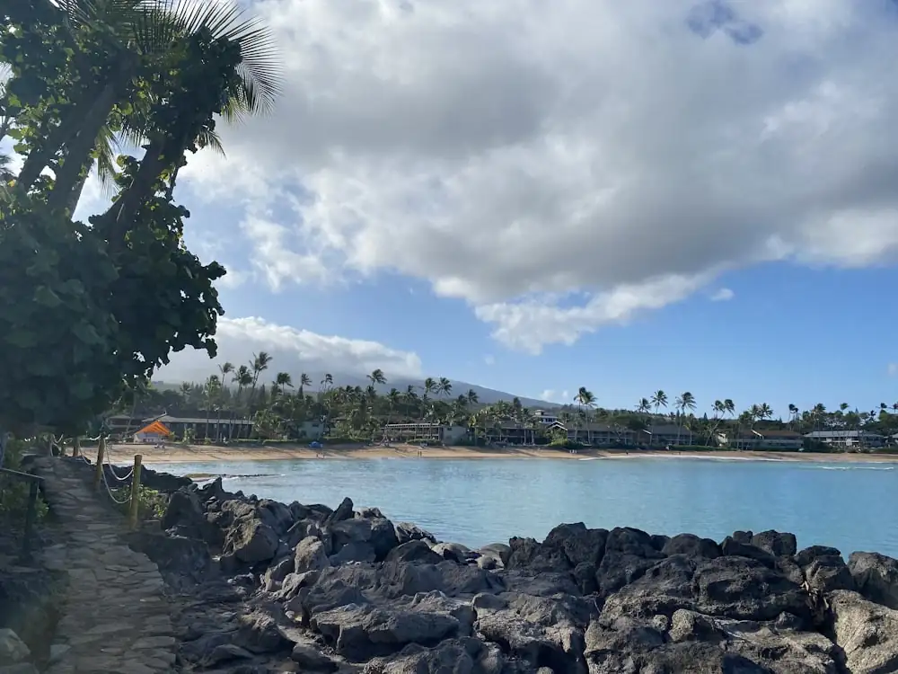 The lava-rock West Maui shoreline and a gold-sand crescent near Kapalua Bay, low-rise resorts beyond