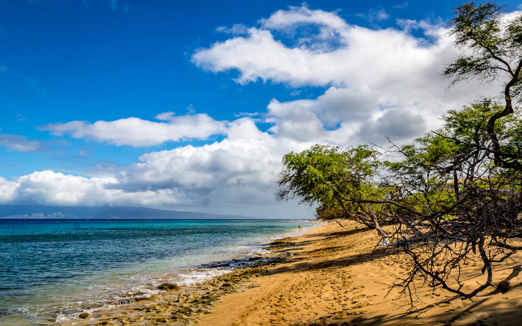 Keawakapu Beach Maui - golden sand backed by kiawe trees, turquoise water, and the West Maui mountains across the channel