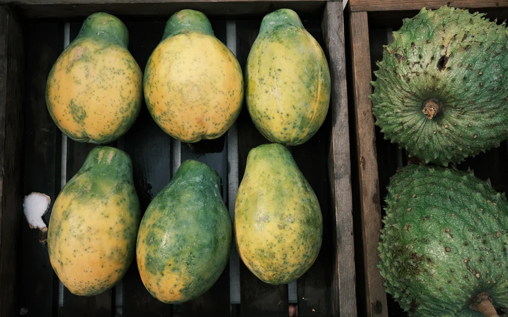 Papayas and green soursop in crates at a Hawaiian fruit stand, the local produce sold at Oahu farmers markets near Waikiki