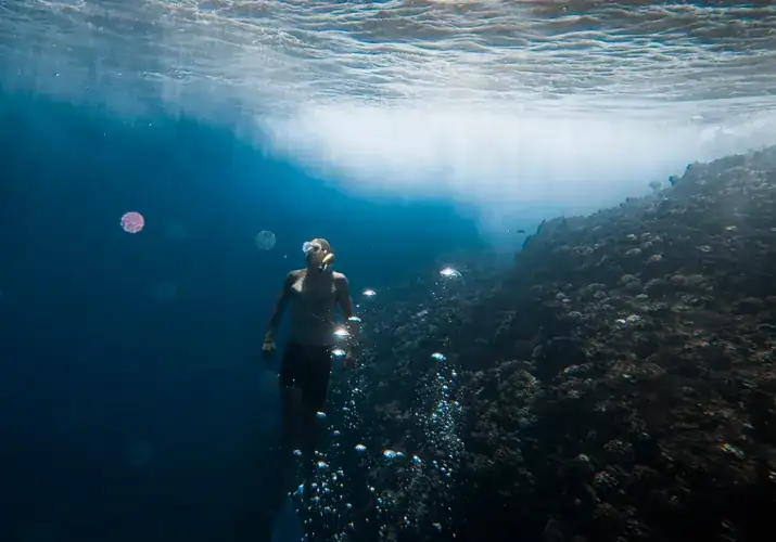 Snorkeler floating over clear blue water at Sharks Cove Oahu