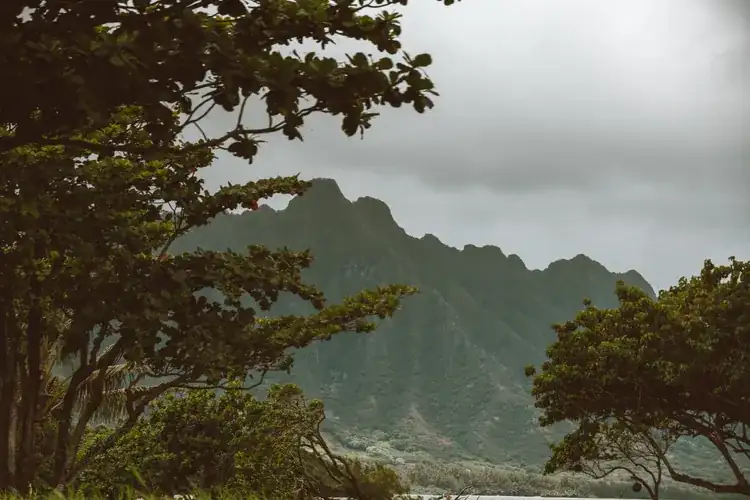 Dramatic green Koolau mountains on Oahu, the ridge the Stairway to Heaven climbs