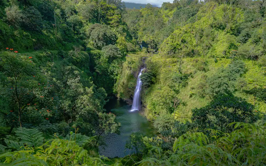 Wailua Falls Maui, an 80-foot ribbon waterfall dropping a lush green cliff into a pool on the Road to Hana